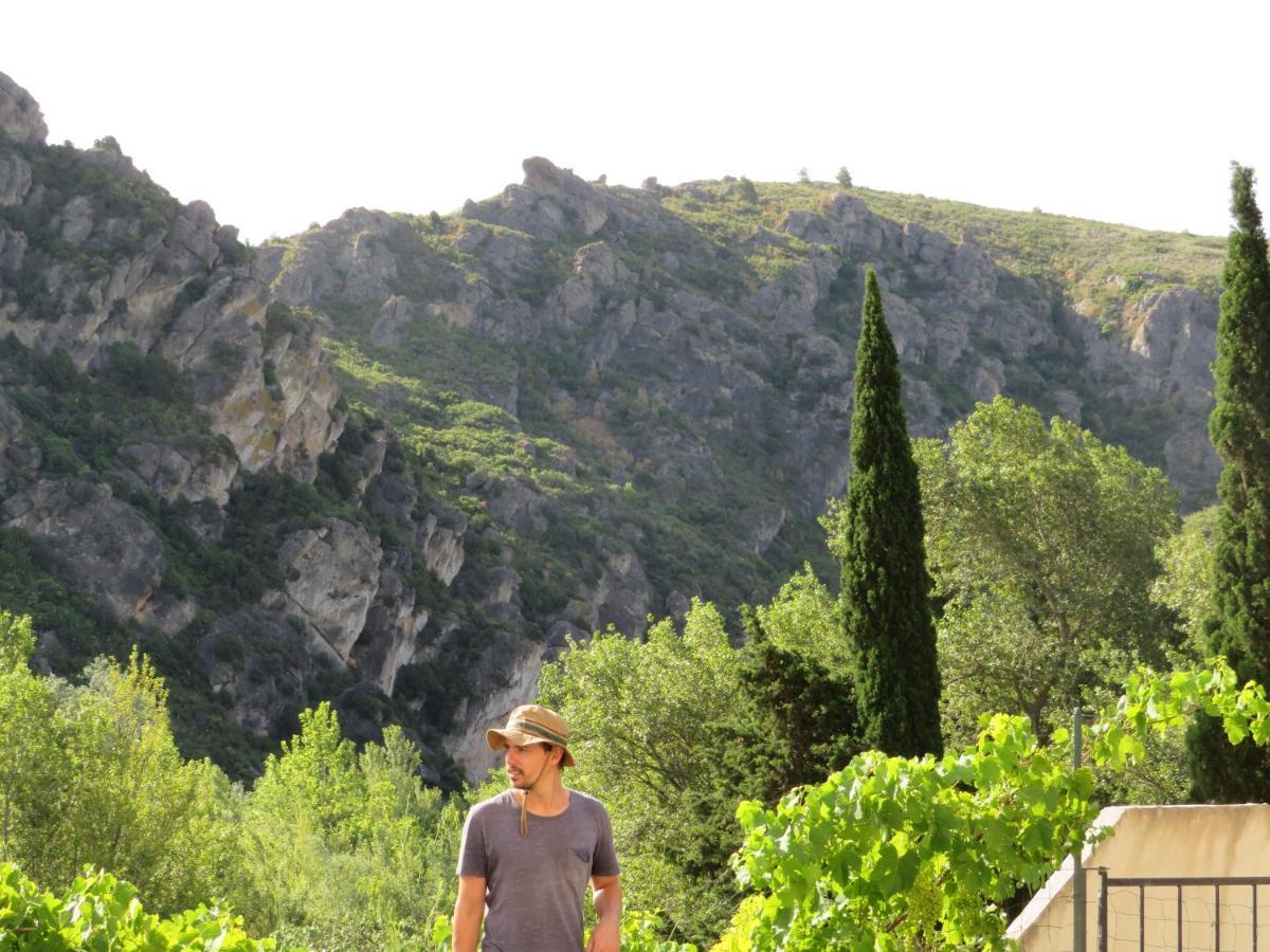 Villa Ripaud, Private River Swimming, Hot Tub Villeseque-des-Corbieres Luaran gambar